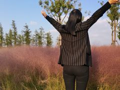 -春花秋色城市公园