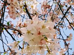 -西北湖绿化广场