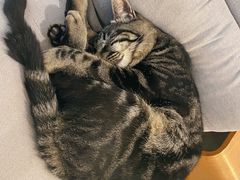 -唐咖精品咖啡(大理古城手冲店)