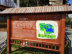 -大兴滨河森林公园