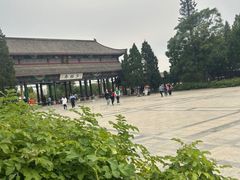 -天津水上公园