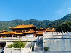 -深圳仙湖植物园
