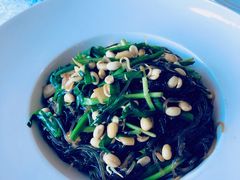 豆头炒粉条-金狮麟·新豫菜(杏石口路店)
