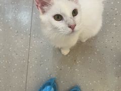 -小小班私人影院·猫咖(万达茂广场店)