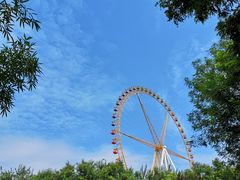 -石家庄市动物园