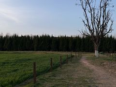 -汉长安城未央宫国家考古遗址公园