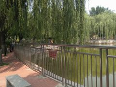 -黄村公园