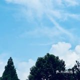 巨无霸越来越小了,还是我嘴变大了?!