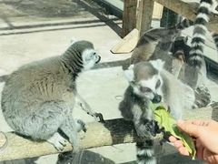 -水上乐园·欢乐世界