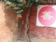 -九龙池景区