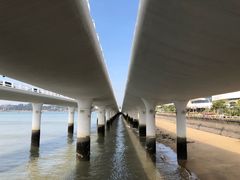 -演武大桥观景平台