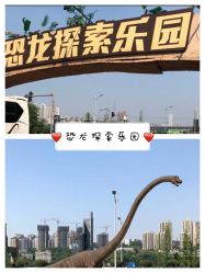 -恐龙探索乐园(磁器口店)