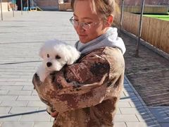 -北京京卫宠物寄养训练中心