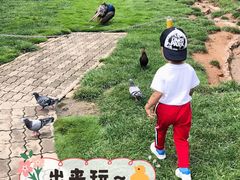 -西霞口神雕山野生动物世界