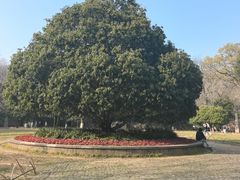 -灵谷景区