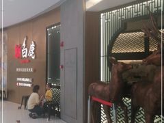 -新白鹿餐厅(虹桥南丰城店)