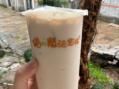 -猫的魔法密林(衣裳街店)