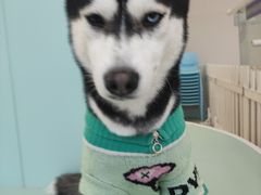 -怪兽屋·羊驼·猫咖·狗咖(俊华广场店)