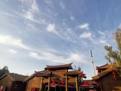 -金塔沙漠胡杨林景区