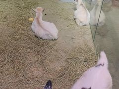 -正佳雨林生态植物园