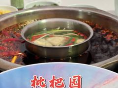 -枇杷园食为鲜火锅(南山店)
