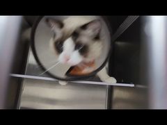 -芭比堂动物医院·24小时·眼科中心(深圳中心)