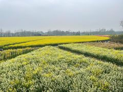 -中国天府农业博览园