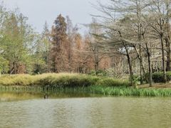 -森波拉奇妙世界