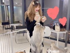 -怪兽屋·羊驼·猫咖·狗咖(俊华广场店)