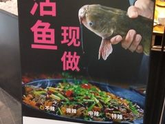 -老板恋上鱼(印象城店)