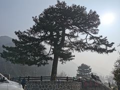 -秦岭终南山世界地质公园翠华山景区