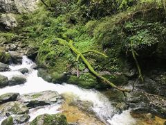 -牛背梁国家森林公园