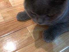 -壹人壹像工作室(购物公园店)