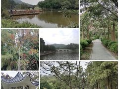 -番禺大夫山森林公园