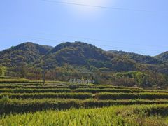 -秦岭风景区