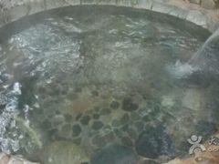 -云涛森林温泉