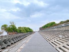 -上海滨江森林公园