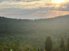 -长虫山生态公园风景林