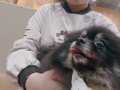-和它·交个朋友·狗咖猫咖(爱琴海店)