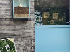 -BE YOLO必有乐&小红帽三明治