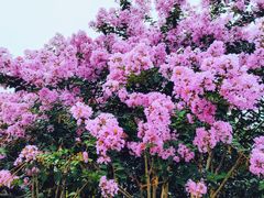 -杭州城北体育公园