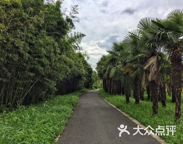 東平國家森林公園圖片 - 第1張