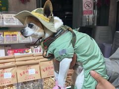 -東茅街茶馆