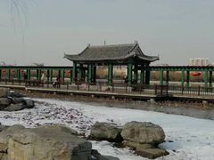 -莲花池公园
