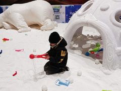 -青岛嘉年华主题乐园