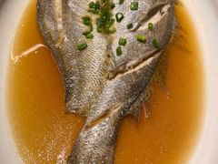 -华盛丰温州大排档(东三环南路店)