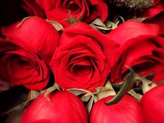 -ROSEONLY诺誓(青岛万象城店)