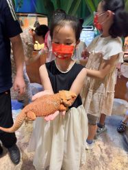 -酷嗒动物文化乐园(cutezoo西溪乐天城店)