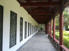 -柳侯公园