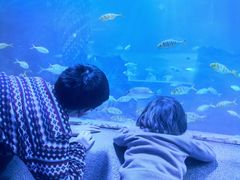 -太平洋海底世界